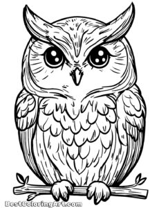 simple Owl